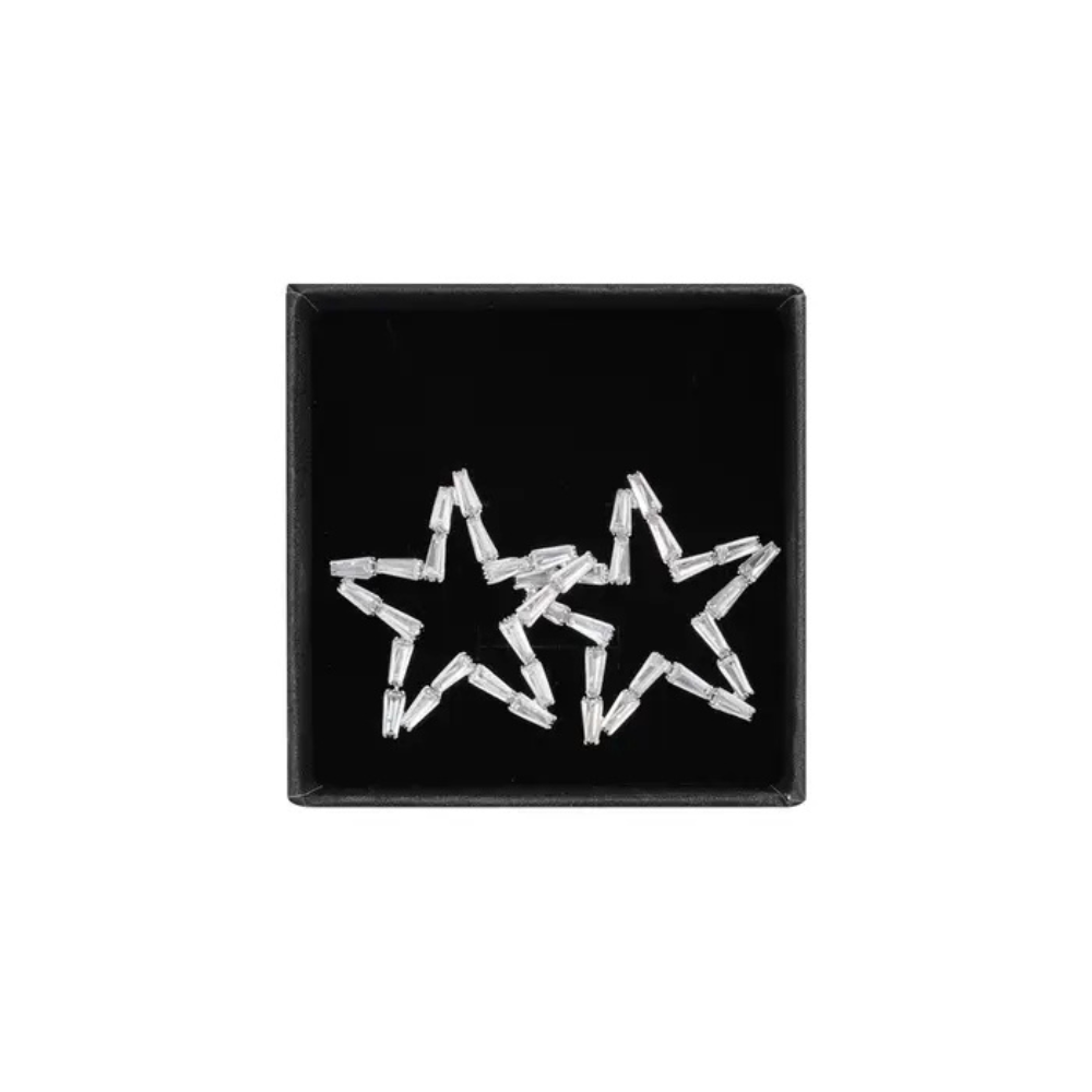 Birnaz Clothing : Starlight Earrings (Silver) 1