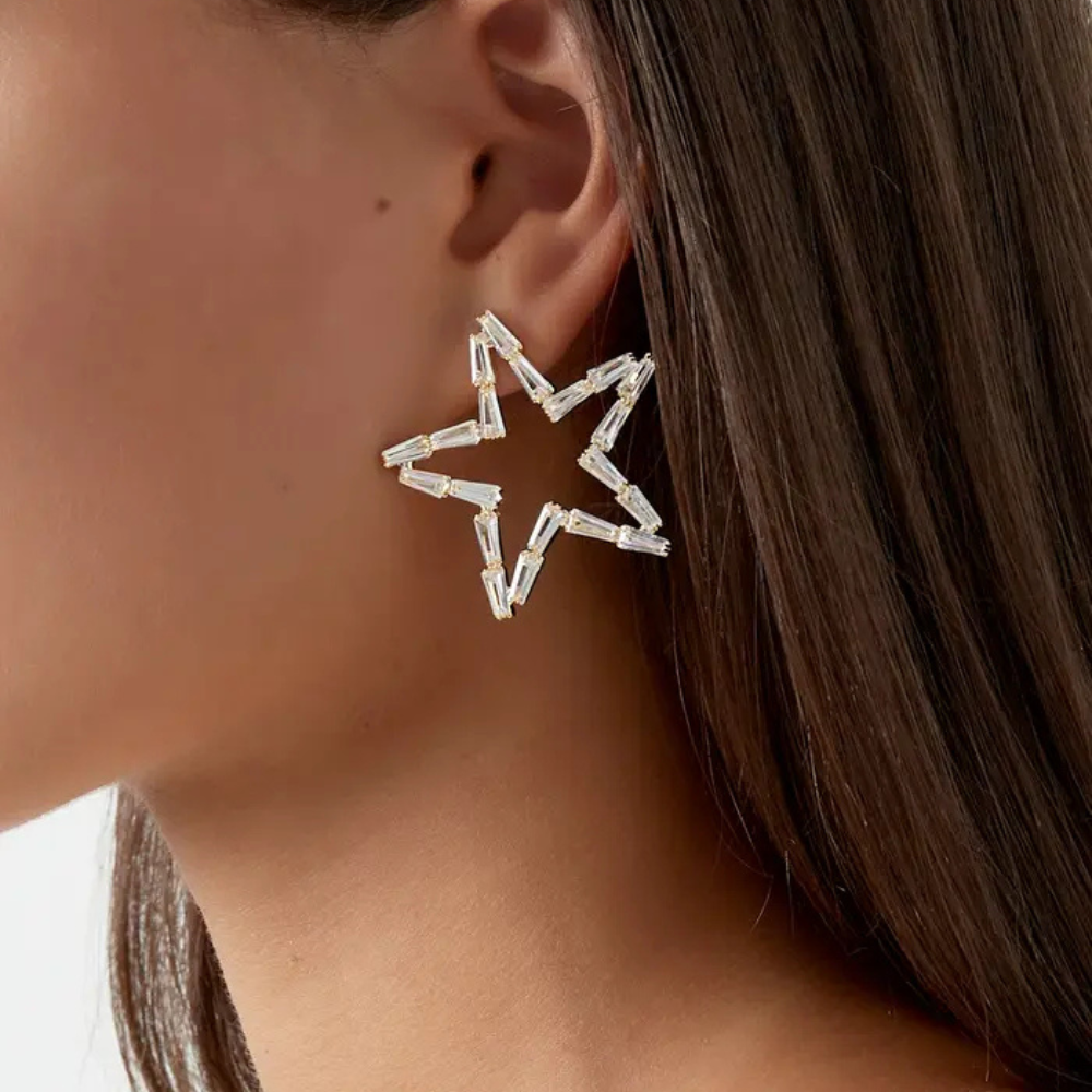Birnaz Clothing : Starlight Earrings (Silver)